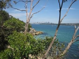 sydney sea, australia