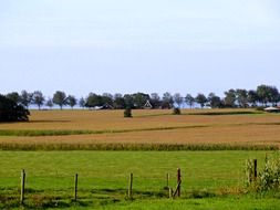 netherlands lnice andscape