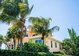 palm trees and beach house in nokomis town