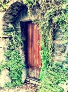 house door in Italy