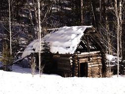 old log cabin in winter