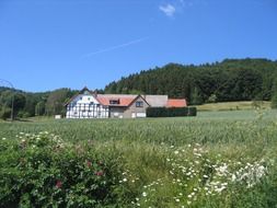 building on a green hill near the forest