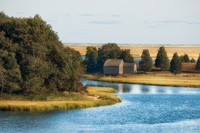 cape cod shore