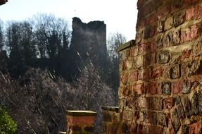 Stone Architecture in a forest