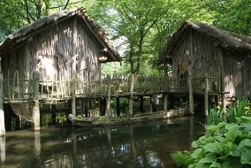 stilt houses in a forest