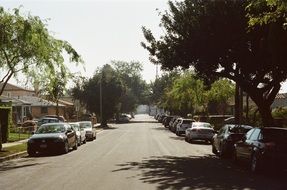 Cars parking on the road