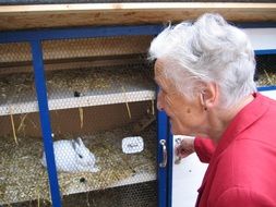 old woman caring for a rabbit