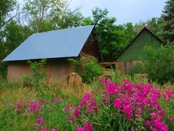 small homestead in the countryside