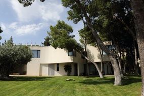 house of modern architecture among the pines