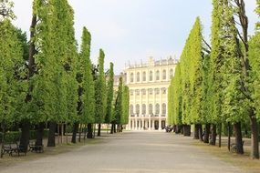 Alley in the castle park in Schonbrunn, vienna, austria