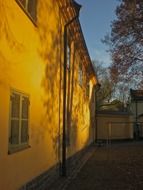 shadow of tree on wall of house at dusk, sweden, stockholm