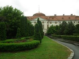 building behind green trees in transylvania