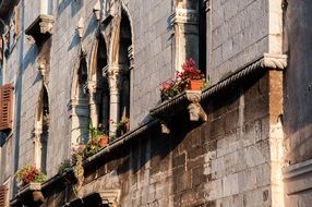 flowers on facade of scenic old house, croatia, porec