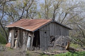 Abandoned wooden house near the trees