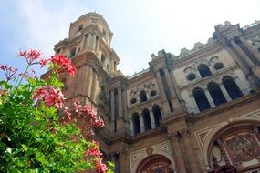 renaissance Cathedral building and bright pink flowers