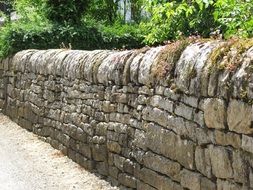 grey mossy stone wall at summer