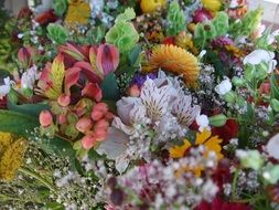 colorful Natural flowers bouquet