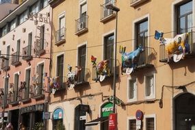 cows on balconies in spain