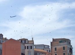 the plane flies in the sky over the houses