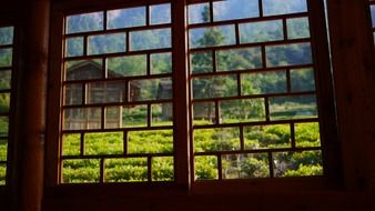 scenic summer landscape through lattice window