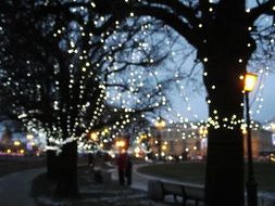 Lights on a street at evening