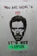 street art painting of dr house