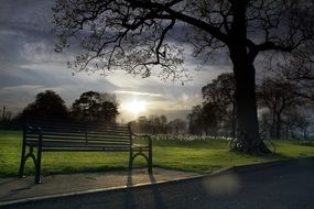 City park at sunny day