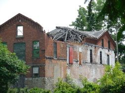 Abandoned factory building in the forest