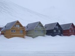houses of different colors in white snowdrifts in winter