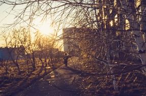 person walking behind trees at sunset