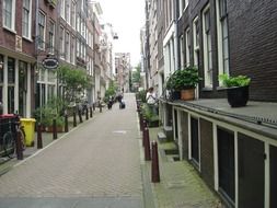 street in Amsterdam