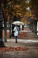 woman walking under umbrella in park at fall