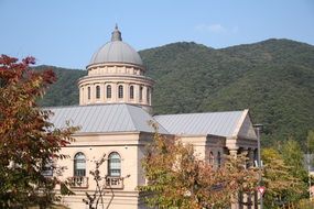 a historic monument in the background of the forest