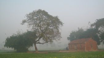 old farmhouse on meadow at foggy autumn morning