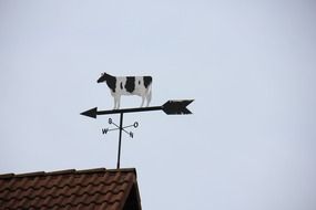 weathervane cow