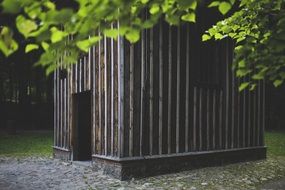 wooden planked small house in a forest