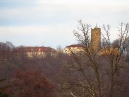 View from behind the trees at the castle of Staufeneck