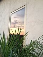 window reflection