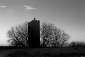 silo in front of bare tree, black and white