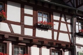 timber framing with flower boxes