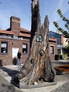 old tree stump in front of the building