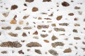 White background with rocks for the cottage