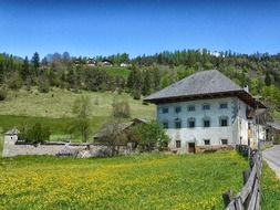 house in a green meadow on the background of the forest