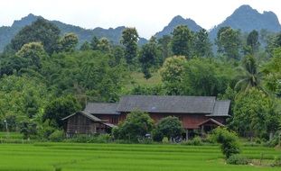 traditional peasant house, thailand