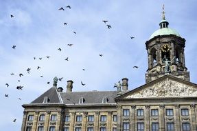 amsterdam city landscape