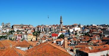 red clay roofs of old town, portugal, oporto