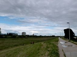 empty pathway near a green field