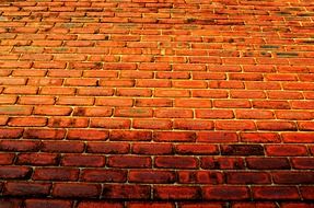 Closeup Photo of red brick wall