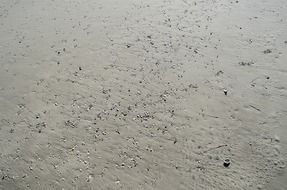 magnificent grey sand
