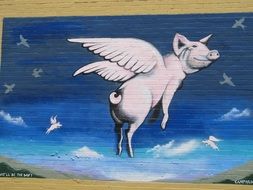 flying pig graffiti